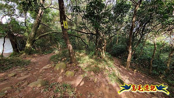 楊梅福人步道-莊迷糊-保甲古道-東森山林步道8形 (120).jpg 楊梅福人步道-莊迷糊-保甲古道-東森山林步道8形 (120).jpg