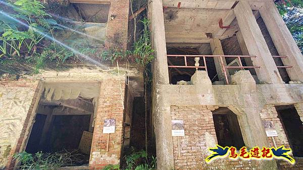 桃園大湖坑步道-大棟山-秋壇山-青龍嶺-樹林車站 (2).jpg