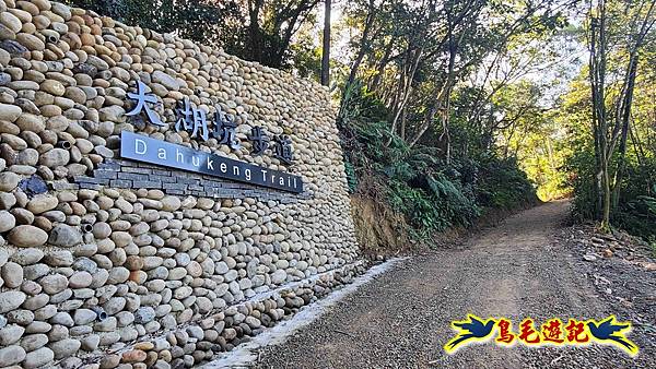 桃園大湖坑步道-大棟山-秋壇山-青龍嶺-樹林車站 (7).jpg