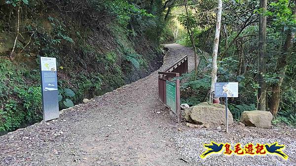 桃園大湖坑步道-大棟山-秋壇山-青龍嶺-樹林車站 (12).jpg