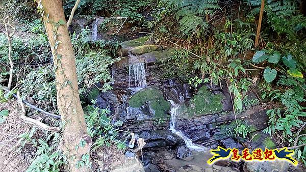 桃園大湖坑步道-大棟山-秋壇山-青龍嶺-樹林車站 (11).jpg