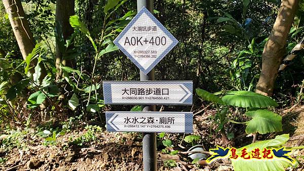 桃園大湖坑步道-大棟山-秋壇山-青龍嶺-樹林車站 (9).jpg