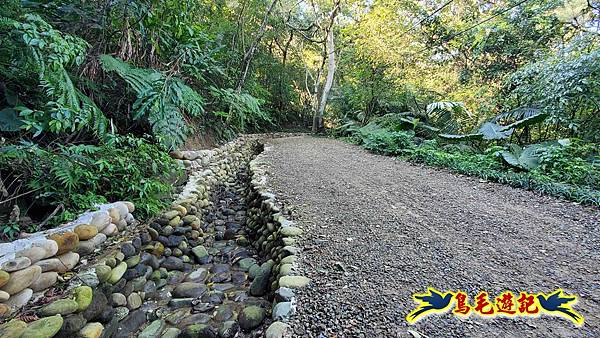桃園大湖坑步道-大棟山-秋壇山-青龍嶺-樹林車站 (15).jpg