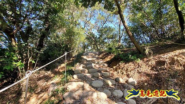 桃園大湖坑步道-大棟山-秋壇山-青龍嶺-樹林車站 (19).jpg