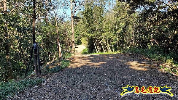 桃園大湖坑步道-大棟山-秋壇山-青龍嶺-樹林車站 (18).jpg