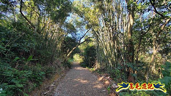 桃園大湖坑步道-大棟山-秋壇山-青龍嶺-樹林車站 (16).jpg