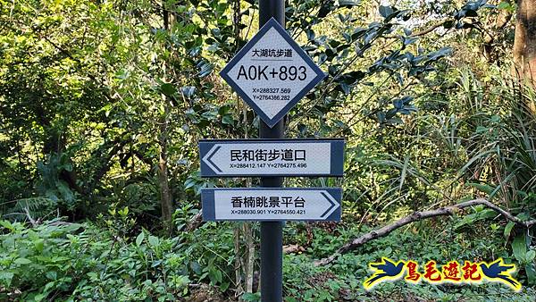 桃園大湖坑步道-大棟山-秋壇山-青龍嶺-樹林車站 (17).jpg