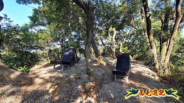 桃園大湖坑步道-大棟山-秋壇山-青龍嶺-樹林車站 (20).jpg