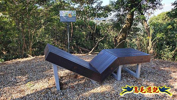 桃園大湖坑步道-大棟山-秋壇山-青龍嶺-樹林車站 (21).jpg