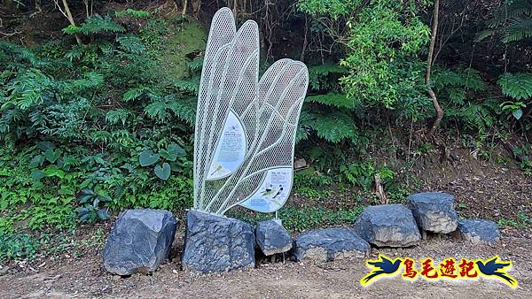 桃園大湖坑步道-大棟山-秋壇山-青龍嶺-樹林車站 (25).jpg