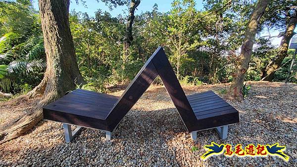 桃園大湖坑步道-大棟山-秋壇山-青龍嶺-樹林車站 (23).jpg