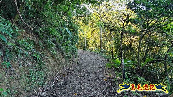 桃園大湖坑步道-大棟山-秋壇山-青龍嶺-樹林車站 (24).jpg