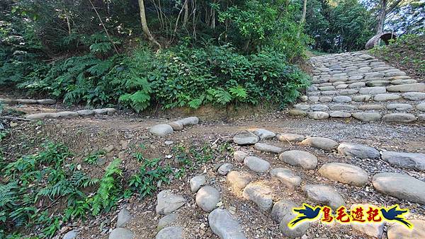 桃園大湖坑步道-大棟山-秋壇山-青龍嶺-樹林車站 (29).jpg