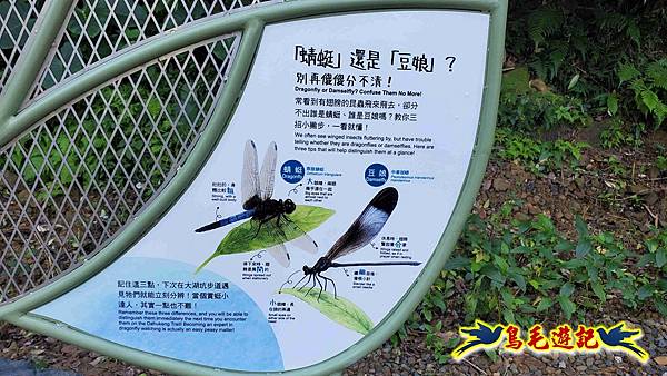 桃園大湖坑步道-大棟山-秋壇山-青龍嶺-樹林車站 (27).jpg