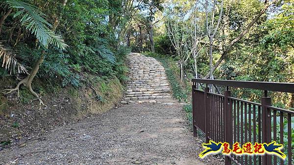 桃園大湖坑步道-大棟山-秋壇山-青龍嶺-樹林車站 (28).jpg