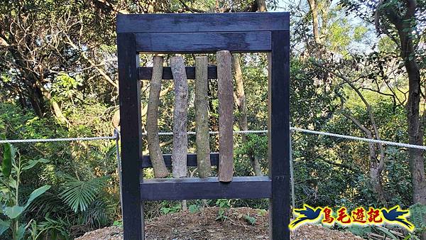 桃園大湖坑步道-大棟山-秋壇山-青龍嶺-樹林車站 (32).jpg