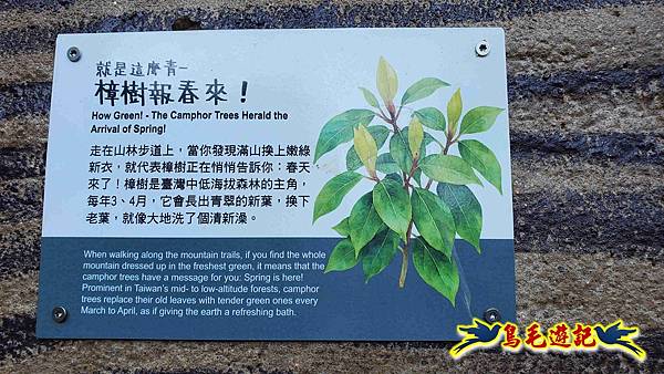 桃園大湖坑步道-大棟山-秋壇山-青龍嶺-樹林車站 (31).jpg