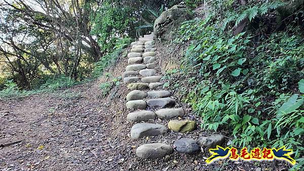 桃園大湖坑步道-大棟山-秋壇山-青龍嶺-樹林車站 (36).jpg