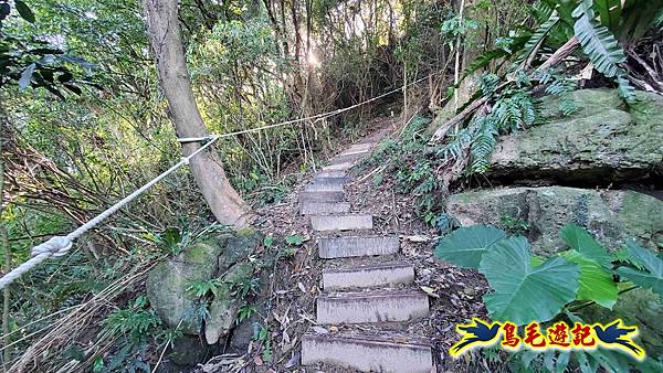 桃園大湖坑步道-大棟山-秋壇山-青龍嶺-樹林車站 (37).jpg