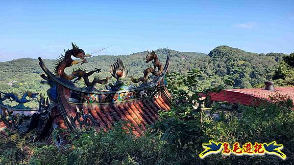 桃園大湖坑步道-大棟山-秋壇山-青龍嶺-樹林車站 (40).jpg