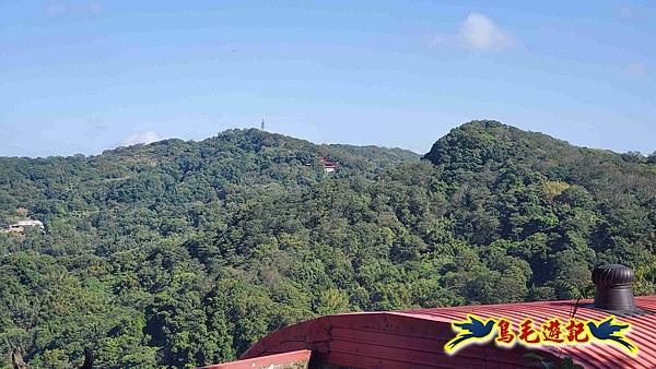 桃園大湖坑步道-大棟山-秋壇山-青龍嶺-樹林車站 (41).jpg