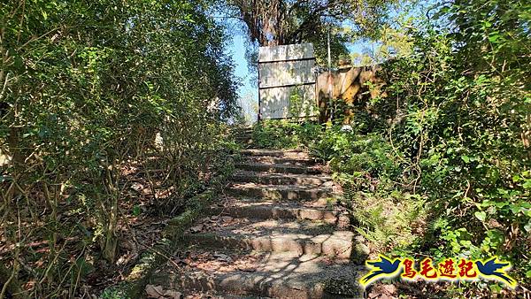 桃園大湖坑步道-大棟山-秋壇山-青龍嶺-樹林車站 (49).jpg