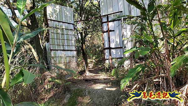 桃園大湖坑步道-大棟山-秋壇山-青龍嶺-樹林車站 (52).jpg
