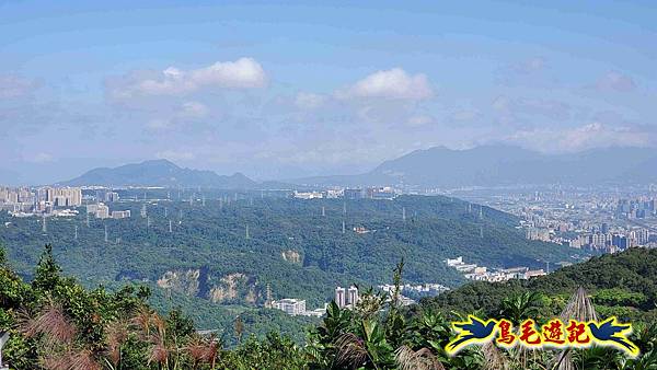 桃園大湖坑步道-大棟山-秋壇山-青龍嶺-樹林車站 (60).jpg