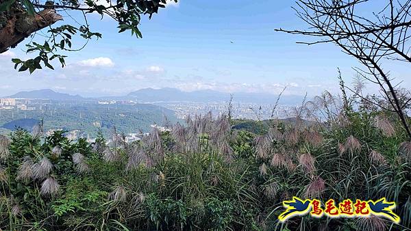桃園大湖坑步道-大棟山-秋壇山-青龍嶺-樹林車站 (59).jpg