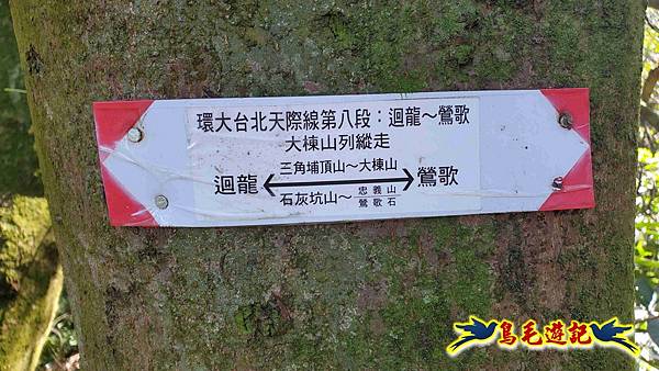 桃園大湖坑步道-大棟山-秋壇山-青龍嶺-樹林車站 (64).jpg