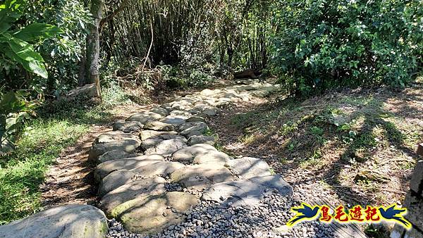 桃園大湖坑步道-大棟山-秋壇山-青龍嶺-樹林車站 (62).jpg