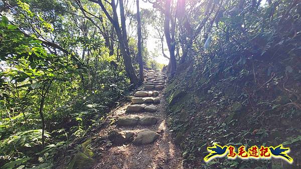 桃園大湖坑步道-大棟山-秋壇山-青龍嶺-樹林車站 (67).jpg