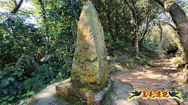 桃園大湖坑步道-大棟山-秋壇山-青龍嶺-樹林車站 (66).jpg