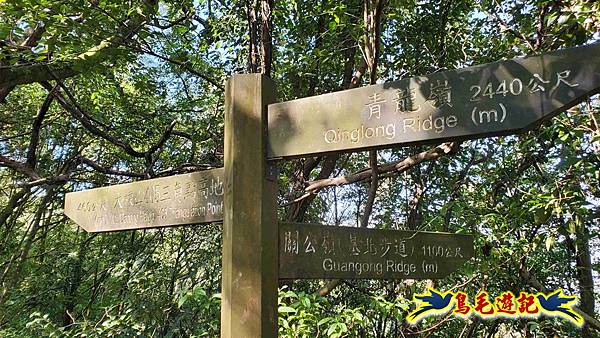 桃園大湖坑步道-大棟山-秋壇山-青龍嶺-樹林車站 (65).jpg