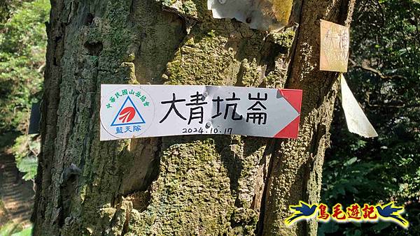 桃園大湖坑步道-大棟山-秋壇山-青龍嶺-樹林車站 (70).jpg