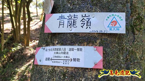 桃園大湖坑步道-大棟山-秋壇山-青龍嶺-樹林車站 (71).jpg