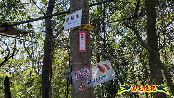 桃園大湖坑步道-大棟山-秋壇山-青龍嶺-樹林車站 (68).jpg
