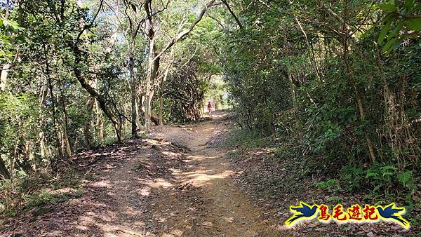 桃園大湖坑步道-大棟山-秋壇山-青龍嶺-樹林車站 (74).jpg