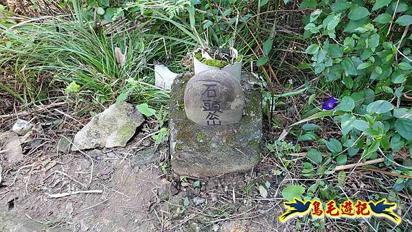 桃園大湖坑步道-大棟山-秋壇山-青龍嶺-樹林車站 (78).jpg