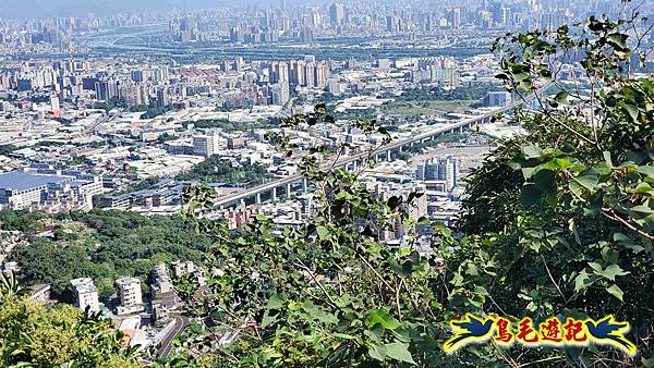桃園大湖坑步道-大棟山-秋壇山-青龍嶺-樹林車站 (75).jpg