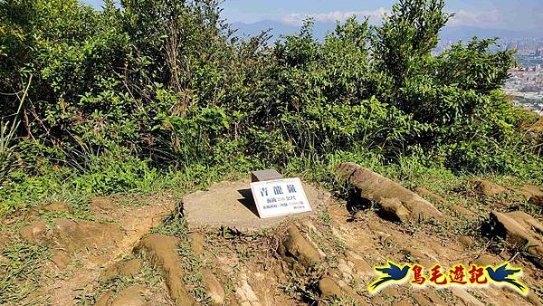 桃園大湖坑步道-大棟山-秋壇山-青龍嶺-樹林車站 (76).jpg