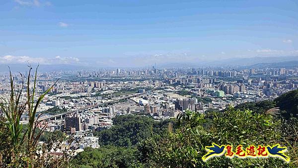 桃園大湖坑步道-大棟山-秋壇山-青龍嶺-樹林車站 (79).jpg