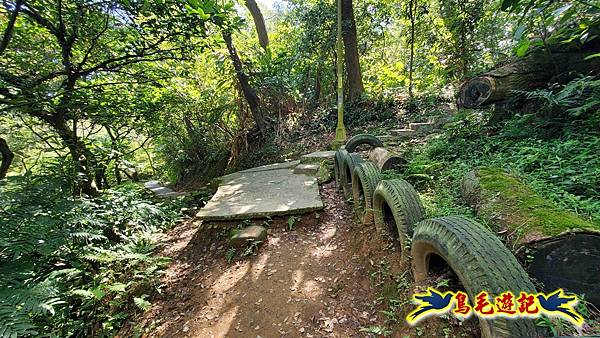 桃園大湖坑步道-大棟山-秋壇山-青龍嶺-樹林車站 (81).jpg