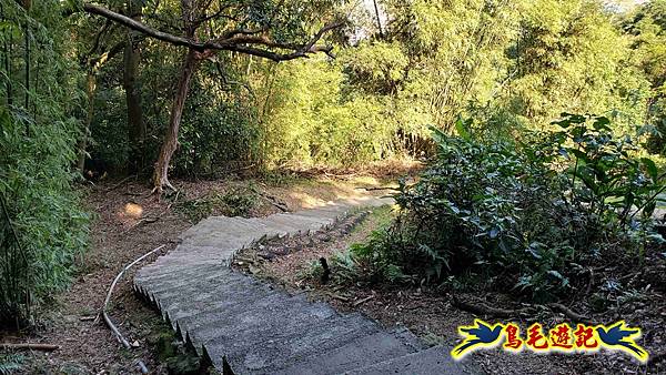 桃園大湖坑步道-大棟山-秋壇山-青龍嶺-樹林車站 (82).jpg
