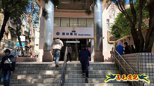 桃園大湖坑步道-大棟山-秋壇山-青龍嶺-樹林車站 (87).jpg