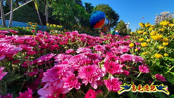 2025士林官邸菊展 (6).jpg