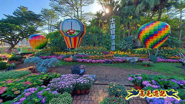 2025士林官邸菊展 (5).jpg