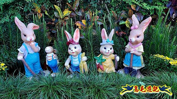 2025士林官邸菊展 (16).jpg