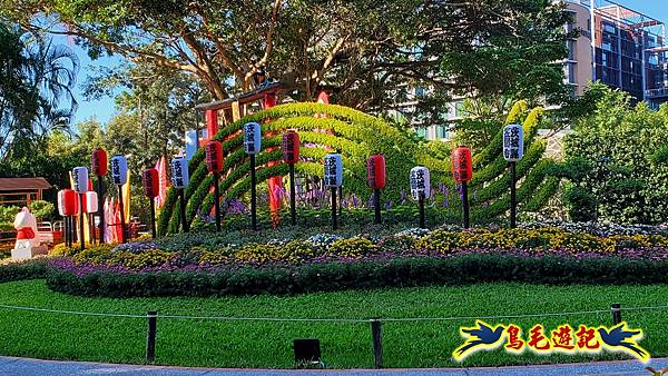 2025士林官邸菊展 (18).jpg