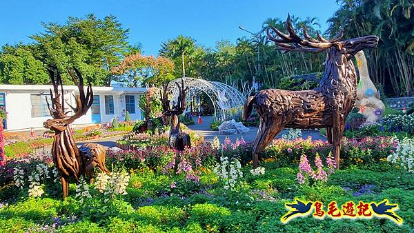 2025士林官邸菊展 (15).jpg